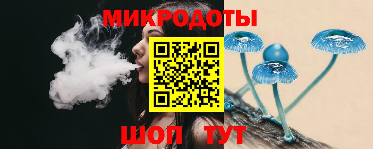 Псилоцибиновые грибы Psilocybe Вышний Волочёк